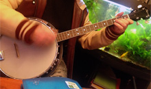 Cours particuliers de banjo Cours particuliers de banjo